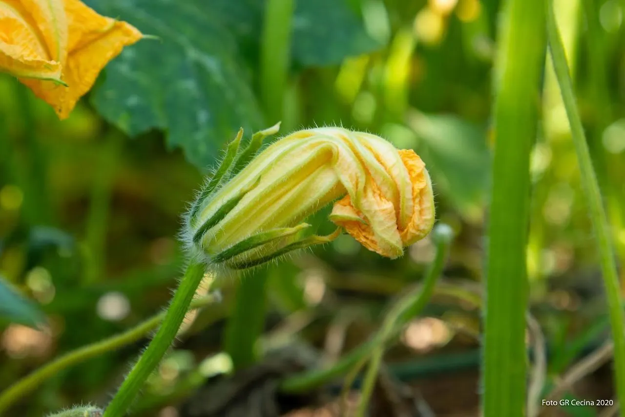Appartamento Piccolo Eden Vada