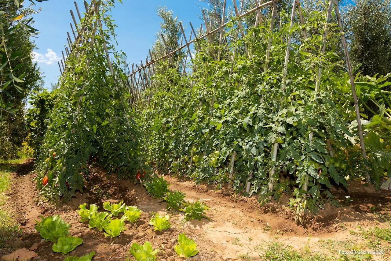 Appartamento Piccolo Eden Vada