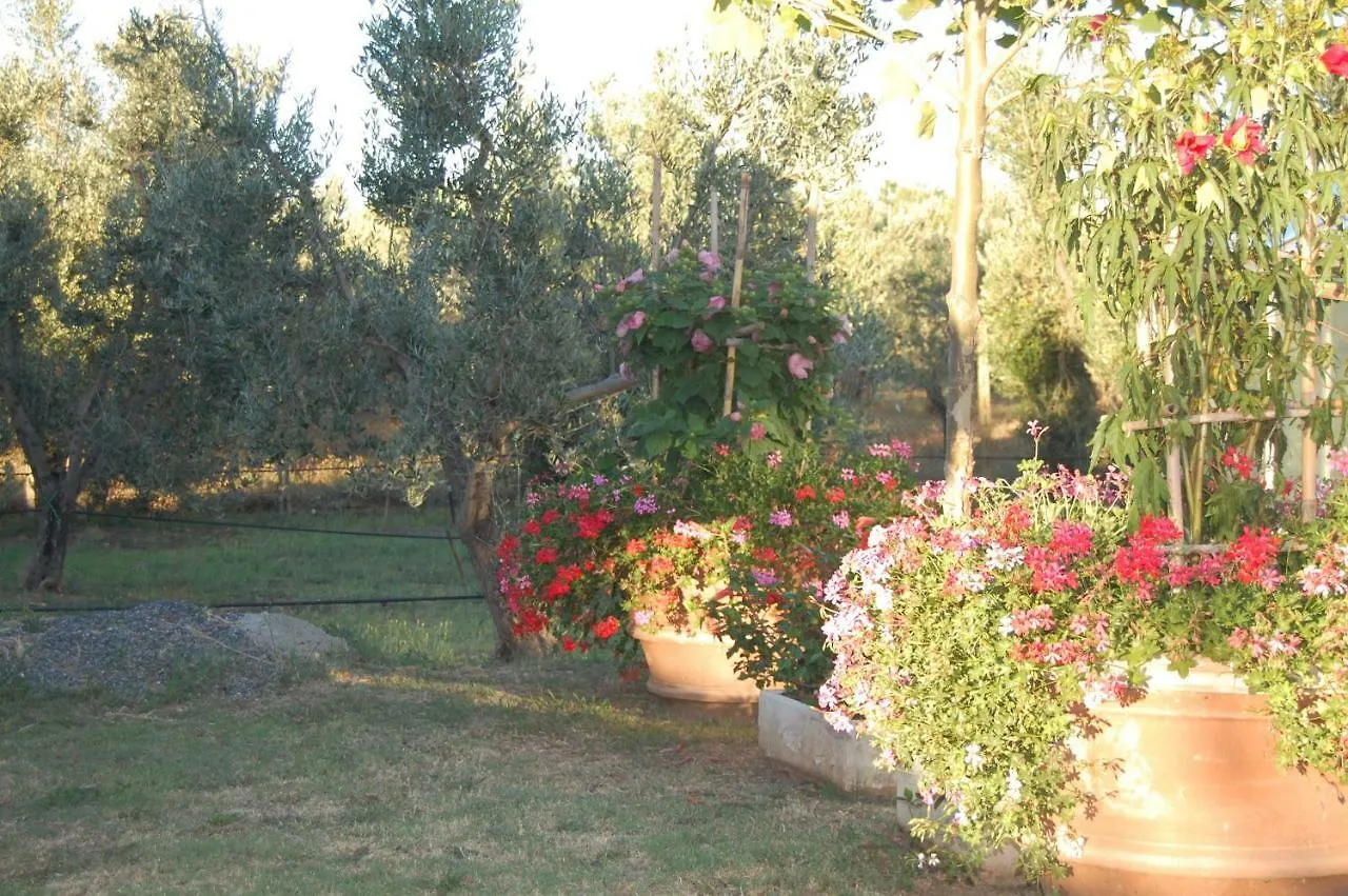 Appartamento Piccolo Eden Vada Italia